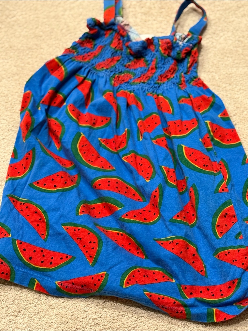Hanna Andersson Blue Dress with Red Watermelon Print